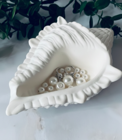 Decorative Conch Shell
