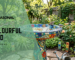 Bright bird bath colors