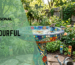 Bright bird bath colors